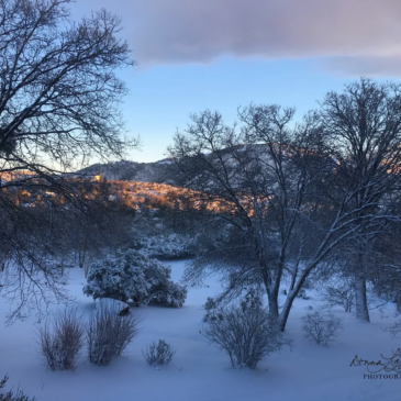 Snowy Sunset in Julian, CA