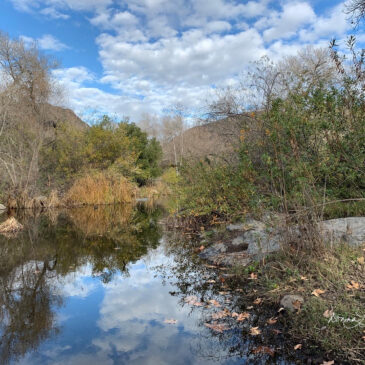 Mission Trails Reflection – Quiet Waters