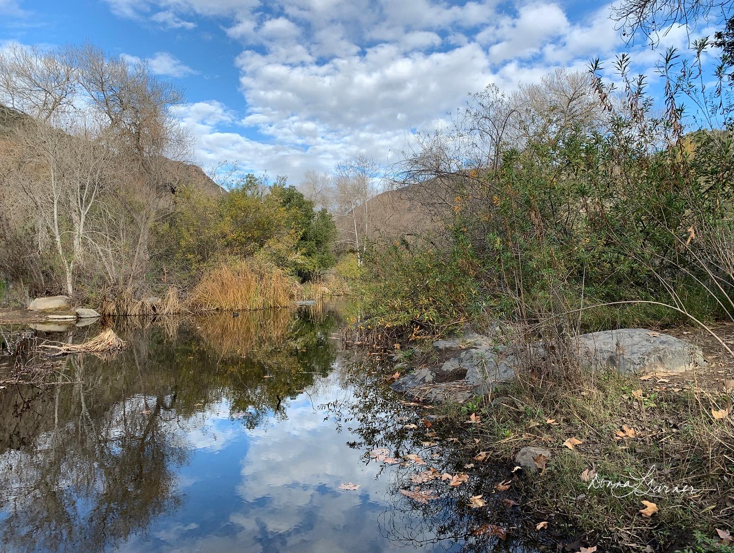 Mission Trails Reflection – Quiet Waters