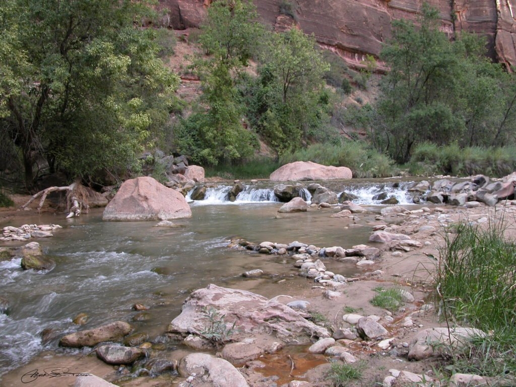 Zion Pool