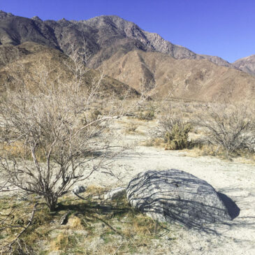 Borrego Shadows – Desert Spirituality