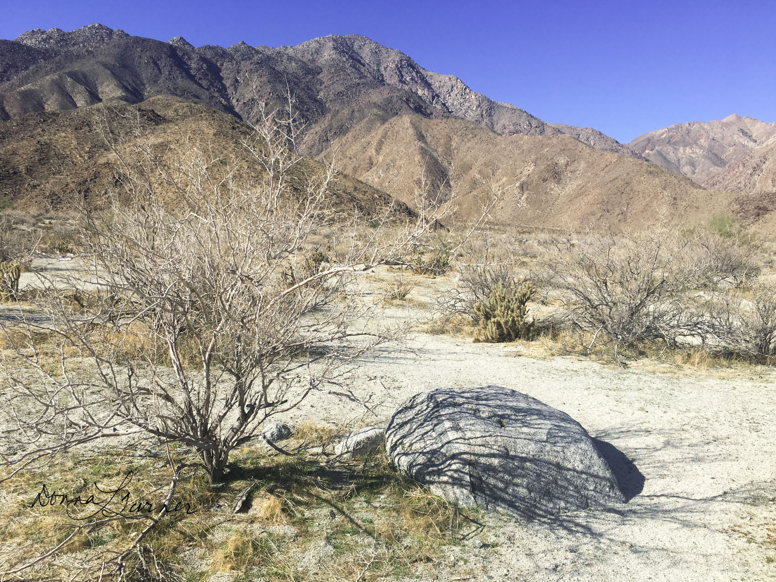 Borrego Shadows – Desert Spirituality